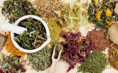 Folk remedies for the treatment of varicose veins