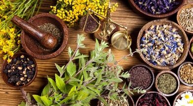 Folk remedies for the treatment of varicose veins (1)